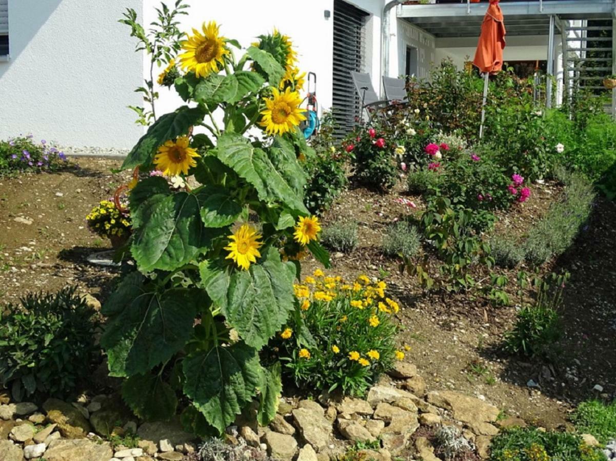 Ferienwohnung Hofstatt Lalling Exteriér fotografie